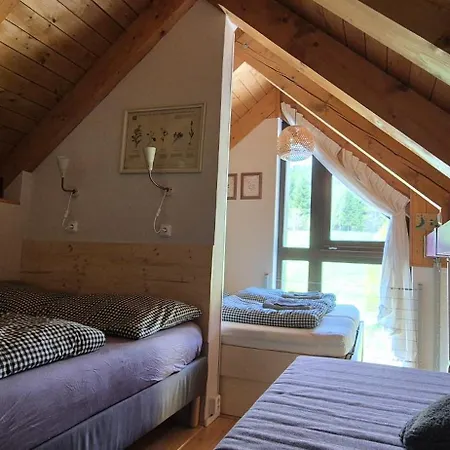 Zvon 302 Appartement